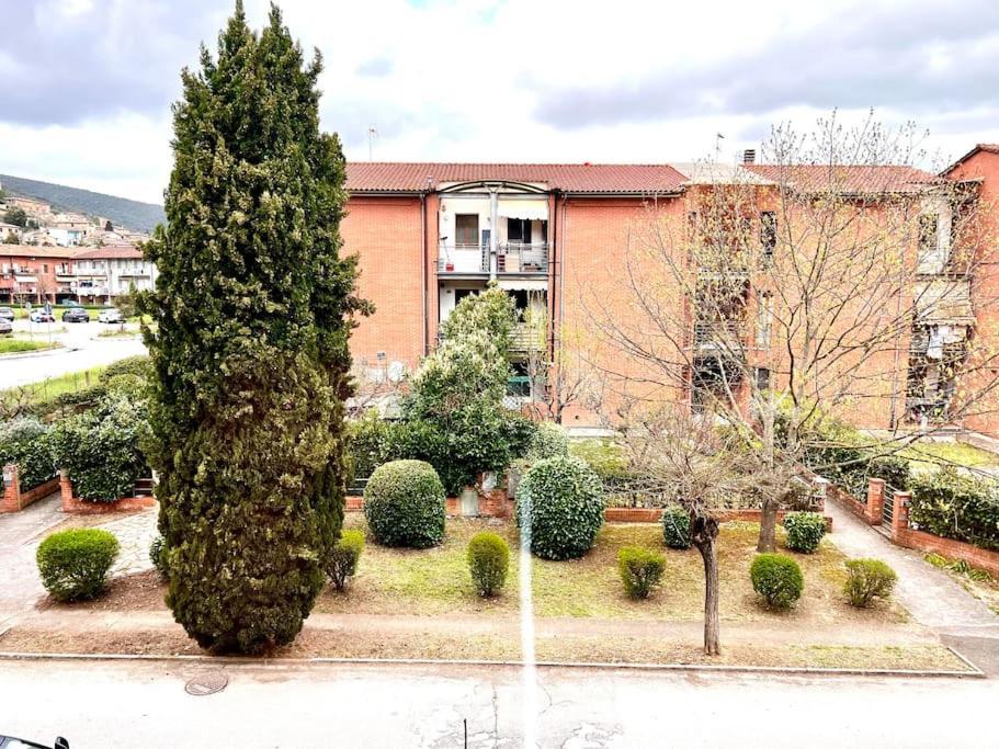 Appartement Comfyspot à Rosia Extérieur photo